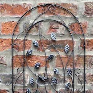 May include: Black metal garden trellis featuring a vase and leaves design. The trellis is arched at the top and has a decorative scrollwork pattern.