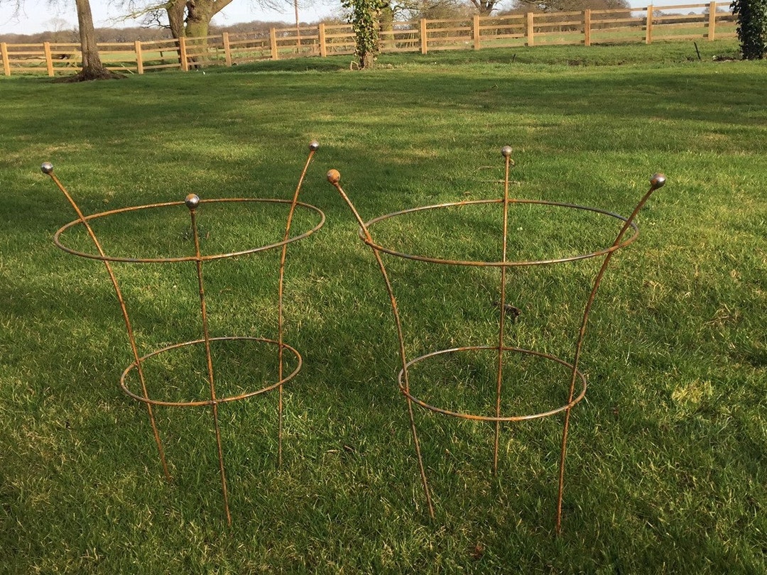 Rust Metal Peony Garden Supports Cage Frame Herbaceous Peonies Rusty