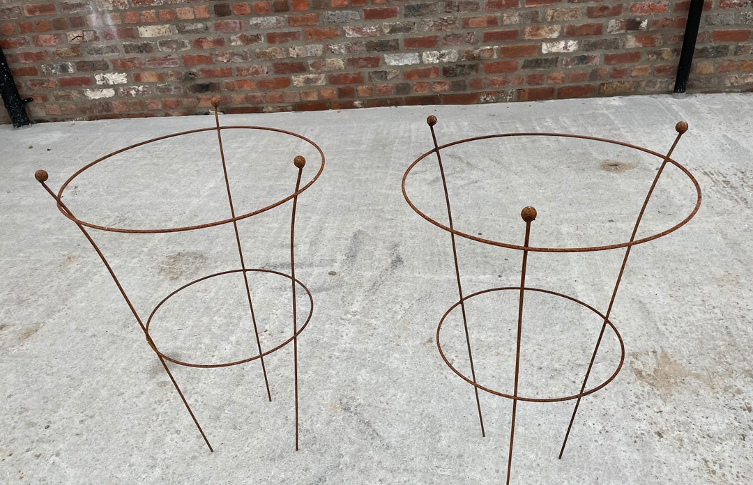 Large Rust Metal Peony Garden Supports Herbaceous Cage Peonies Rusty ...