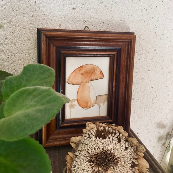 Illustration aquarelle encadrée champignon des bois, cadre en bois vintage