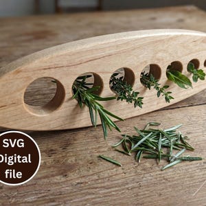 Puede incluir: Un jardinera de hierbas de madera con múltiples aberturas circulares, cada una con hierbas frescas como romero y tomillo. La madera de color claro tiene un acabado liso. Un montón de hierbas frescas está cerca. Incluye el texto "SVG Digital file".