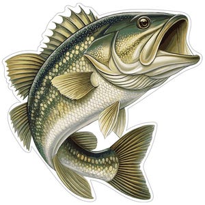 Puede incluir: Ilustración detallada de un róbalo con la boca abierta, mostrando sus escamas y aletas. El pez es principalmente verde, blanco y marrón, con un diseño detallado. La imagen es una pegatina o calcomanía.