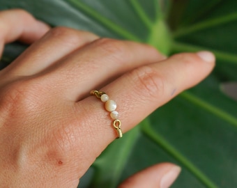 Könnte beinhalten: Ein goldener Ring mit einer Reihe kleiner, weißer, runder Perlen.