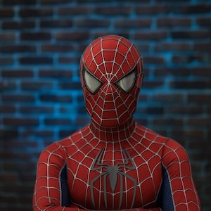 May include: A red and blue Spider-Man costume with a web pattern and a black spider emblem on the chest. The mask has white eye lenses. The costume is worn by a person in front of a brick wall.