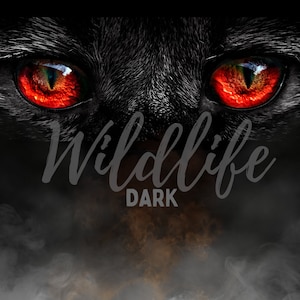 ULTIMATE Wildlife Bundle FREE presets included