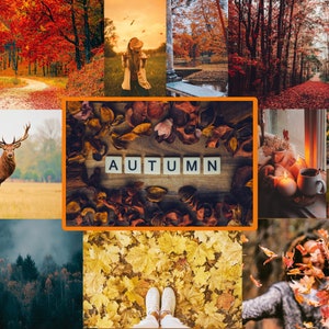 AMAZING Autumn Presets - With FREE Wildlife Lightroom Preset Bundle included