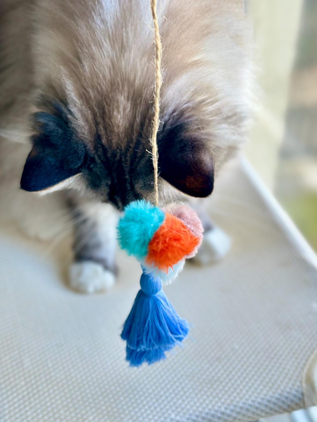 Cat Toy DIY Kit Create Your Own Boho Cat Wand DIY Craft Kit Cat Gift ...