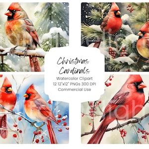 Noël cardinaux Clipart aquarelle papier numérique Bundle 12 PNG vacances Journal Pages artisanat Scrapbooking Texture fond hiver oiseaux