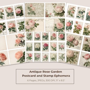 May include: A selection of antique rose garden ephemera, including postcards and stamps. The designs feature vintage illustrations of pink and white roses. The text reads "Antique Rose Garden Postcard and Stamp Ephemera" and the paper size is 27.9 cm x 21.6 cm.