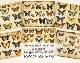 Butterfly Specimen Junk Journal Pages, Vintage Insect Ephemera (Digital Download)