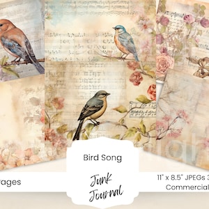 Vogeljunkdagboek | Vintage vogels | Kit voor ongewenste tijdschriften | Afdrukbaar collageblad | Digitale download | Vintage handgemaakte ambachten | Vogel ephemera