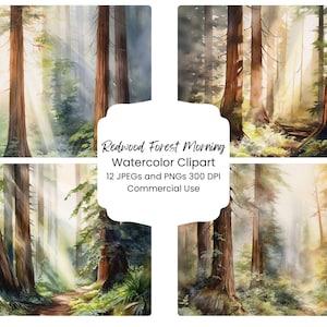 Redwood Forest Watercolor Clipart: Morning Landscape Digital Paper (PNG JPG)