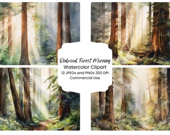 Op de afbeelding: Een set van vier aquarellen die een redwoodbos met zonnestralen die door de bomen schijnen afbeelden. De schilderijen zijn getiteld "Redwood Forest Morning Watercolor Clipart" en bevatten de tekst "12 JPEGs and PNGs 300 DPI Commercial Use".