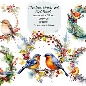 Ghirlanda di Natale Uccelli Acquerello Clipart Carta digitale Bundle 12 PNG Vacanza Pagina Craft Scrapbook Texture Sfondo Vintage retrò inverno