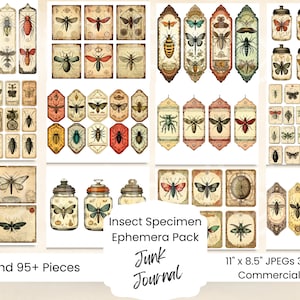Insect Specimen Junk Journal Ephemera Designs Fussy Cuts Tags Scraps Belly Band Printable Ephemera Paper Entomology Sheet Scientific Bugs