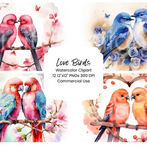 Amor pássaros clipart aquarela pacote de papel digital 12 png dia dos namorados páginas artesanato scrapbook textura fundo doce pássaro pares coração