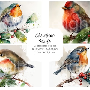 Weihnachten Vögel Clipart Aquarell Digital Paper Bundle 12 PNG Urlaub Journal Seiten Handwerk Scrapbook Textur Hintergrund Winter Niedlich Kardinal