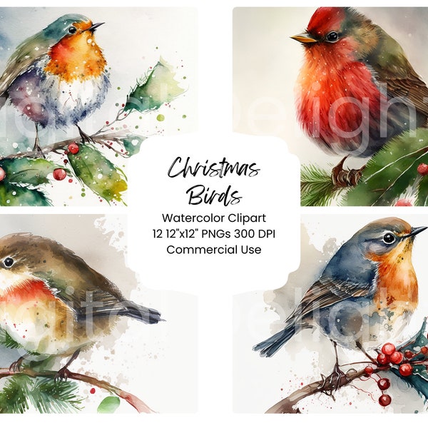 Christmas Birds Clipart Watercolor Digital Paper Bundle 12 PNG Holiday Journal Pages Craft Scrapbook Texture Background Winter Cute Cardinal