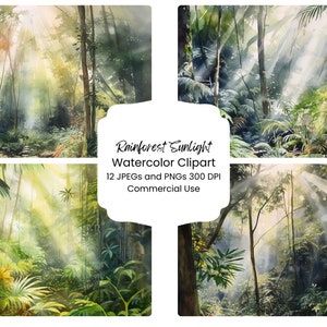 Regenwoud zonlicht digitale papierbundel 12 PNG JPG commercieel gebruik, aquarel boslandschap digitale ambachtelijke scrapbooking textuur dagboek