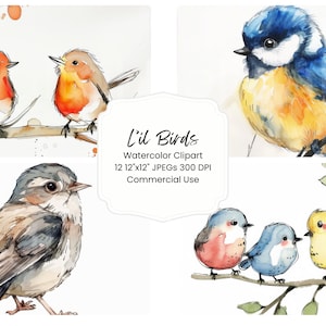 Cute Little Birds Clipart Watercolor Digital Paper Bundle 12 JPEG Journal Pages Craft Scrapbook Texture Background  Junk Journal