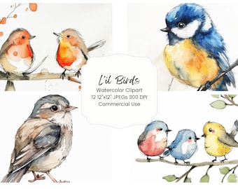Clipart de pássaros em aquarela, pássaros canoros de jardim estilo cottagecore em PNG (Download digital)