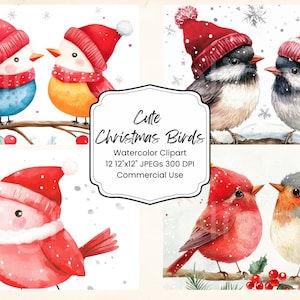 Carino Natale Uccelli Acquerello Carta Digitale Bundle 12 PNG Pagine di Diario delle Vacanze Artigianato Scrapbook Texture Sfondo Inverno Carino Cardinale