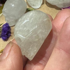 May include: A hand holding a translucent, light-colored crystal skull. Several other crystal skulls are visible in the background, along with purple dried flowers. The skulls have a smooth, polished appearance, suggesting they are carved from quartz or a similar stone.