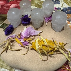 May include: Six clear quartz crystal skull figurines arranged on a light brown stone, surrounded by dried purple, yellow, and pink flower petals. The skulls are detailed and translucent, with visible facial features.