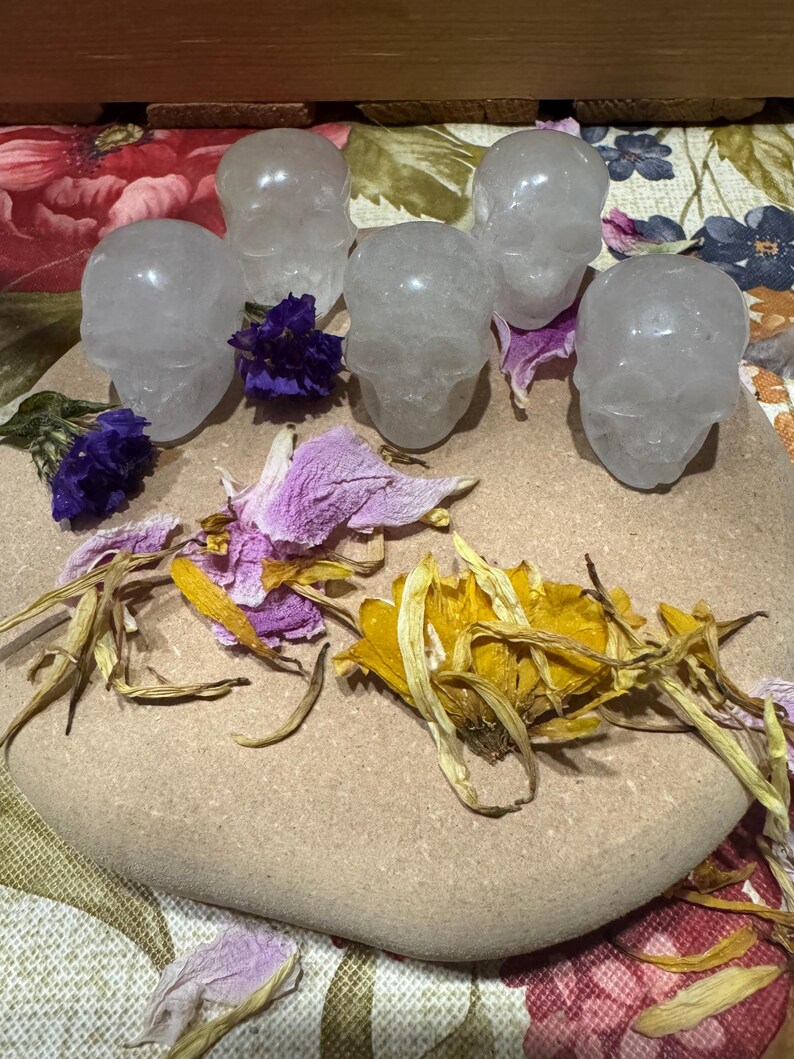 May include: Six clear quartz crystal skull figurines arranged on a light brown stone, surrounded by dried purple, yellow, and pink flower petals. The skulls are detailed and translucent, with visible facial features.