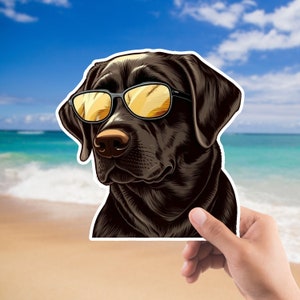 Hydro flask for dogs discount