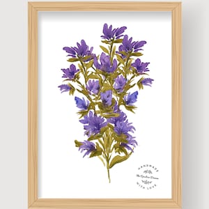 Illustration a encadrer -  fleurs sauvage  - aquarelle -fait main- wall art- imprimer sur du papier 100%cotton