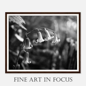 Poster incorniciato di fiori di giacinto - Splendida fotografia in bianco e nero - Decorazione pronta da appendere