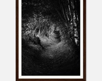 May include: Black and white framed art print of a forest path. The image features a winding trail through a dense forest, with trees and foliage creating a tunnel-like effect. The text "FINE ART IN FOCUS" is at the bottom.