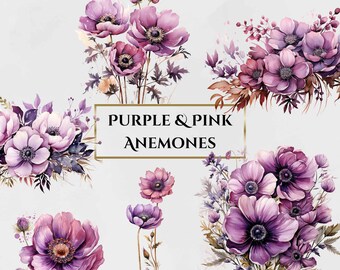アネモネの花のイラスト：ピンクと紫の水彩クリップアート（デジタル