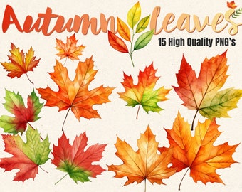 15 Hand Painted Autumn Leaves | THANKSGIVING | High Quality Transparent PNG&#39;s | Commercial Use