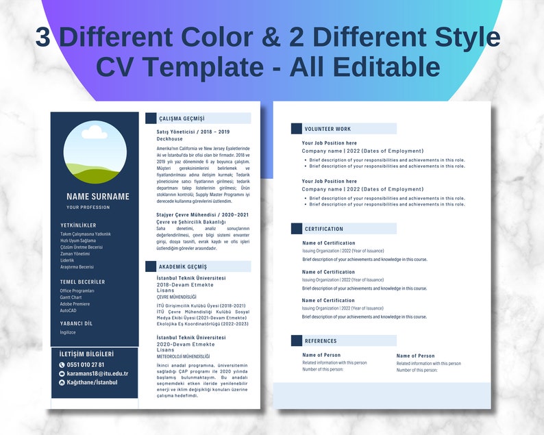 Professional Resume Template Executive Resume Canva CV - Etsy