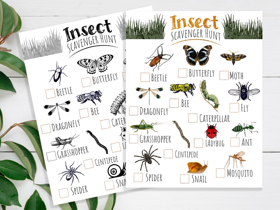 Insect Scavenger Hunt Kids Printable Summer Activity for - Etsy