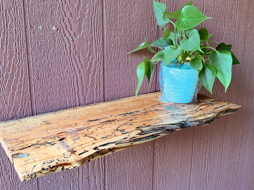 Black Walnut Floating Shelf Etsy