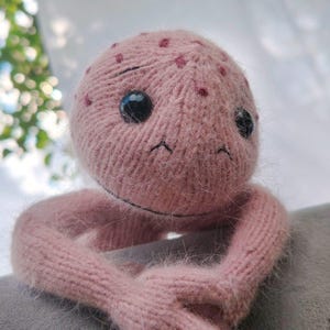 Funny crocheted frog toy, Frog in clothes, Finished frog toy, Unusual handmade gift, Frog doll