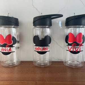 CLOSE OUT SALE!!! Personalized Disney Mickey & Minnie Acrylic Tumbler, Water Bottle - 10 oz