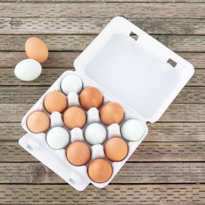 BLANK Egg Cartons (30-pack) | Natural White | Vintage 3x4 Style | 12 Count | Reusable Paper Pulp | Perfect for Small Backyard Farm