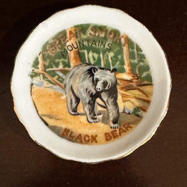 Small Vintage Great Smoky Moutains Collectable Souvenir Plate