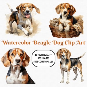 Watercolor Beagle Dog Clip Art, 10 High Quality (300 DPI) JPG Images With Solid Background, Instant Digital Download