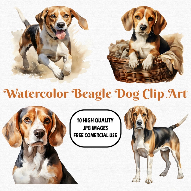 Watercolor Beagle Dog Clip Art, 10 High Quality (300 DPI)