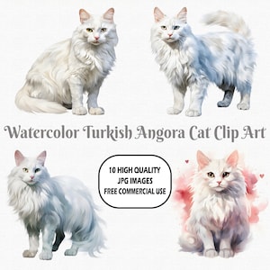 Watercolor Turkish Angora Cat Clip Art, 10 High Quality (300 DPI) JPG Images With Solid Background, Instant Digital Download