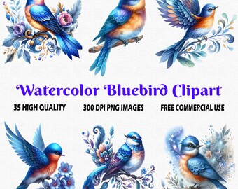 Watercolor Cute Bluebird Clipart, 35 PNG (300 DPI) Transparent Images, Watercolor Floral Bluebird PNG clipart, Fantasy Bluebird Clipart png