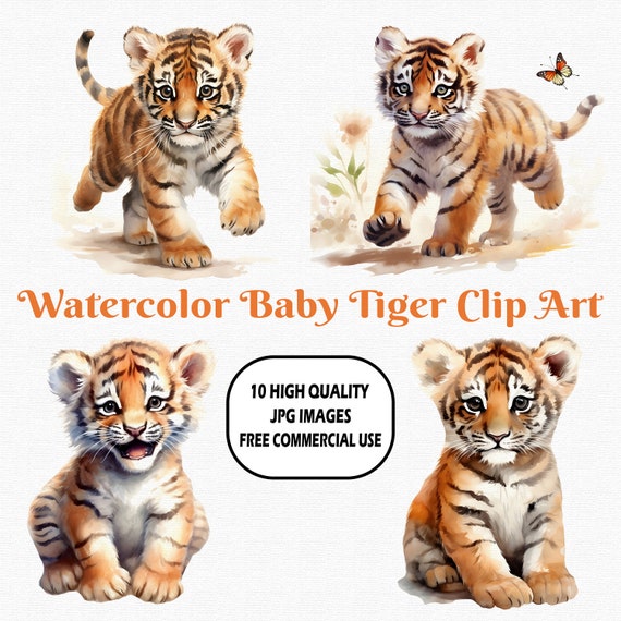 Watercolor Baby Tiger Clip Art, 10 High Quality (300 DPI) JPG Images With Solid Background, Instant Digital Download