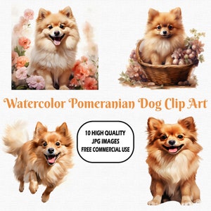 Watercolor Pomeranian Dog Clip Art, 10 High Quality (300 DPI) JPG Images With Solid Background, Instant Digital Download