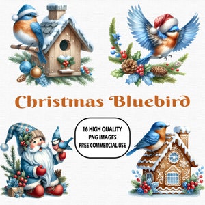Clipart de pássaro azul de Natal em aquarela, 16 (300 DPI) imagens transparentes PNG, lindo pássaro floral de Natal, pássaro azul de chapéu de Papai Noel