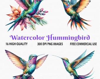 Watercolor Whimsical Hummingbird Clipart, 16 High Quality (300 DPI) PNG Images with Transparent Background, Cute Hummingbird Clipart